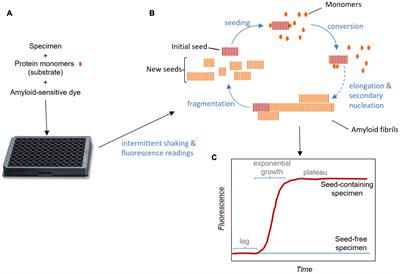 Real-Time Quaking- Induced Conversion Assays for Prion Diseases, Synucleinopathies, and Tauopathies